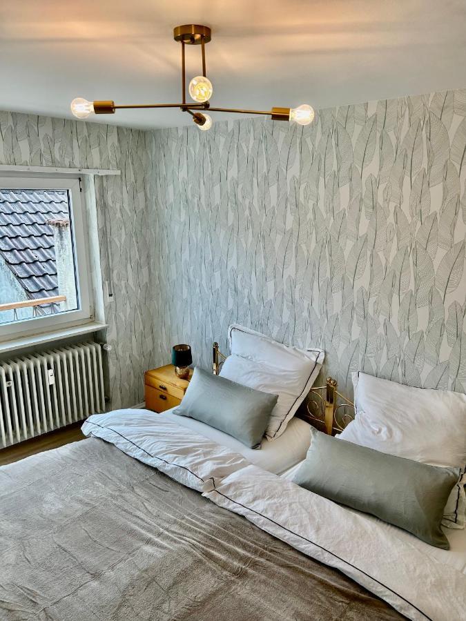 Relaxstay - Balkon - Smart-Tv - Wifi Dielheim 外观 照片